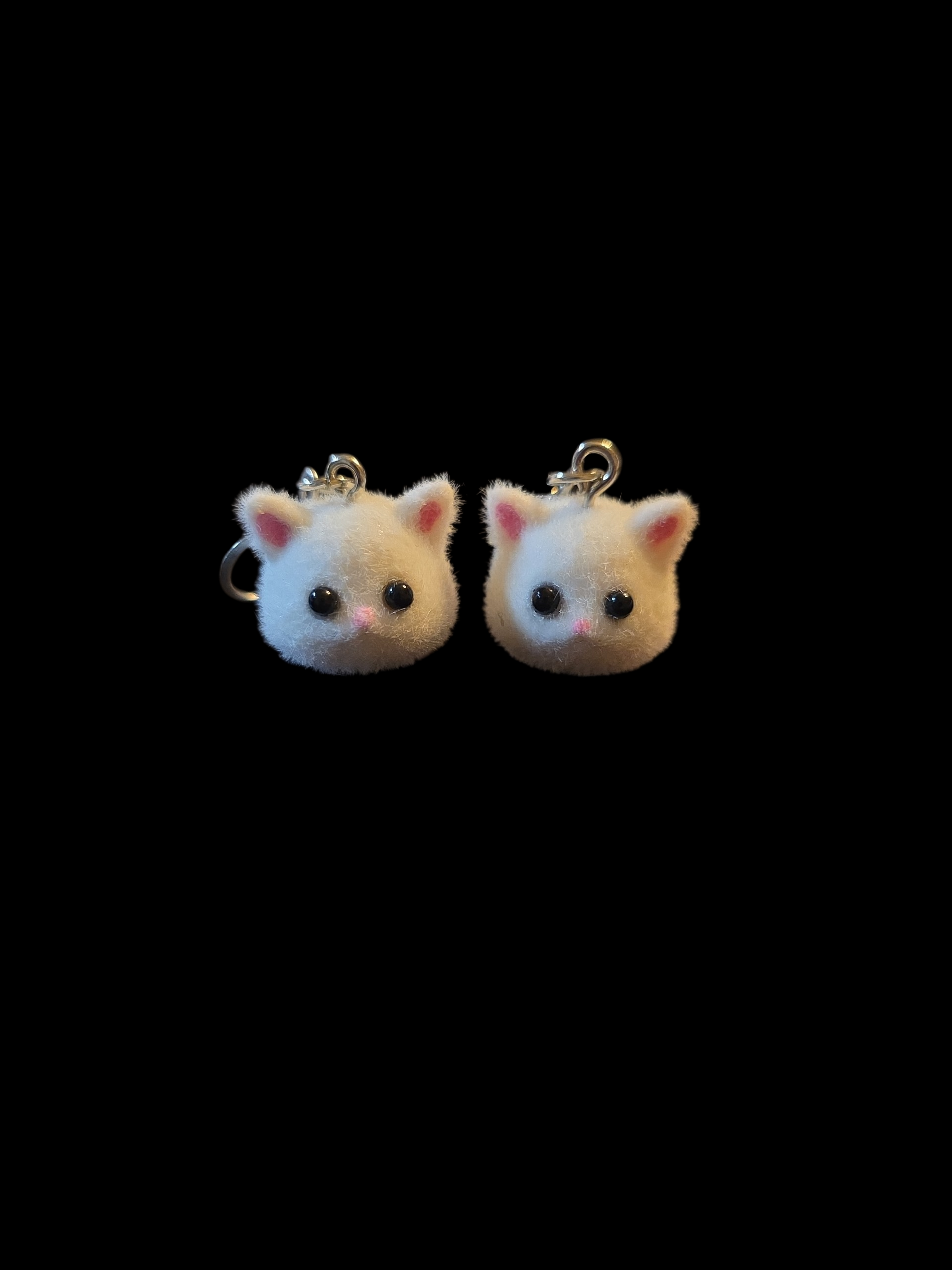 Meow 😻