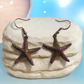 The cutest starfishes under the sea 🌊