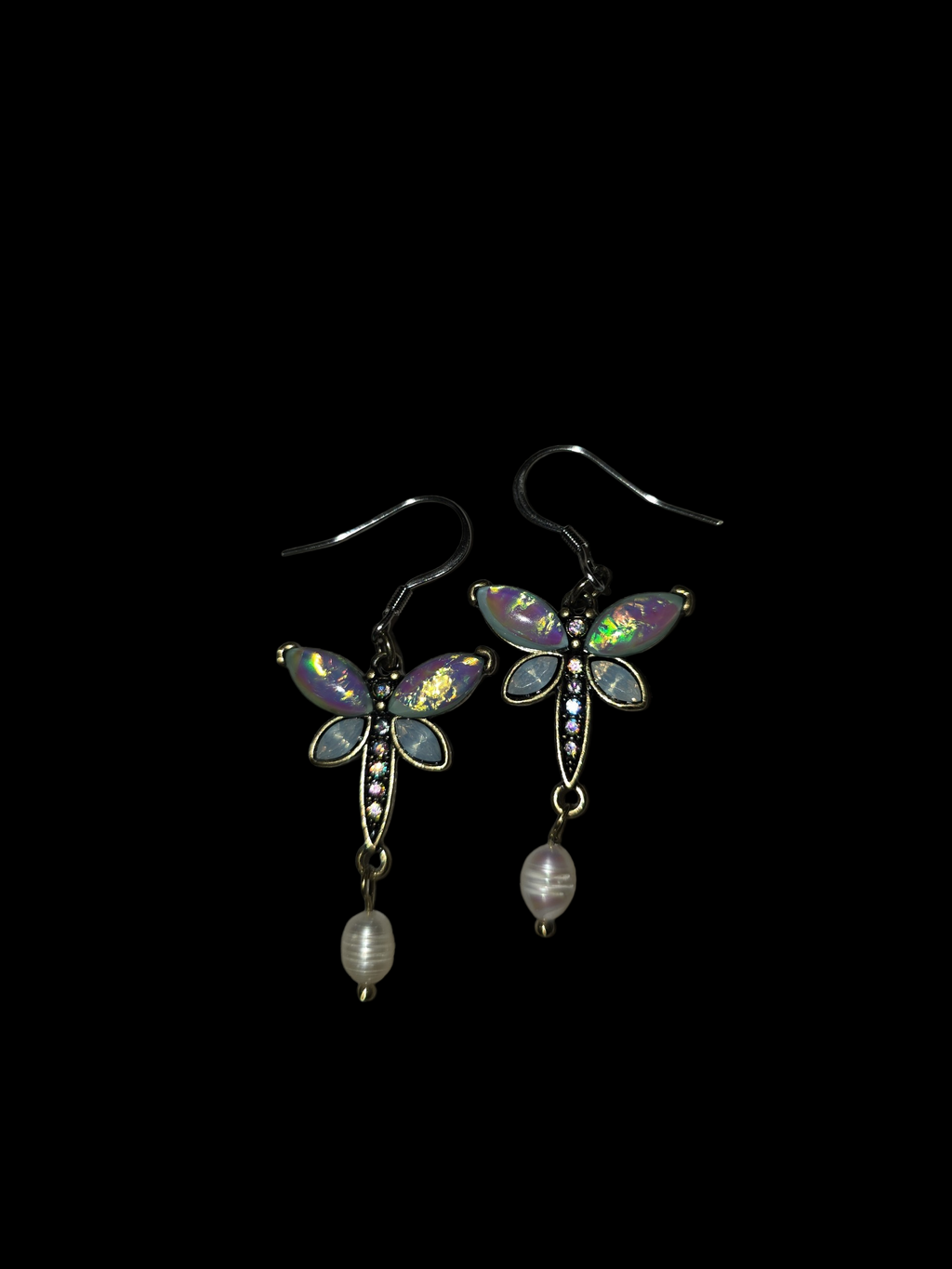 Dragonfly Beauties ✨️